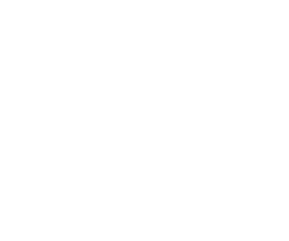 Fair